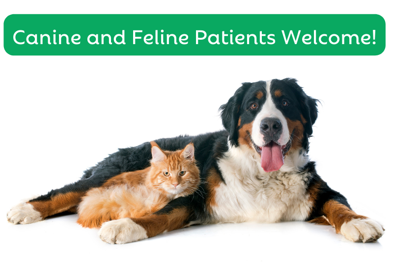 Carousel Slide 6: Offering veterinary support for our beloved canine and feline patients